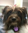 Millie