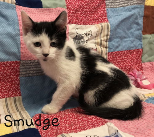 Smudge