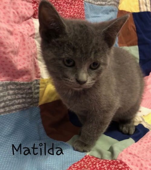 Matilda