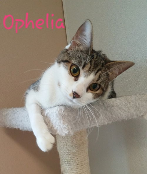 Ophelia