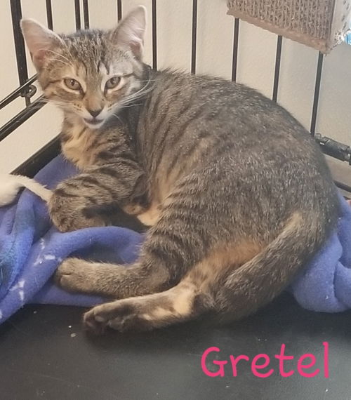 Gretel