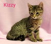 Kizzy