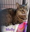 Molly