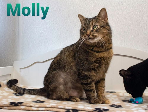 Molly