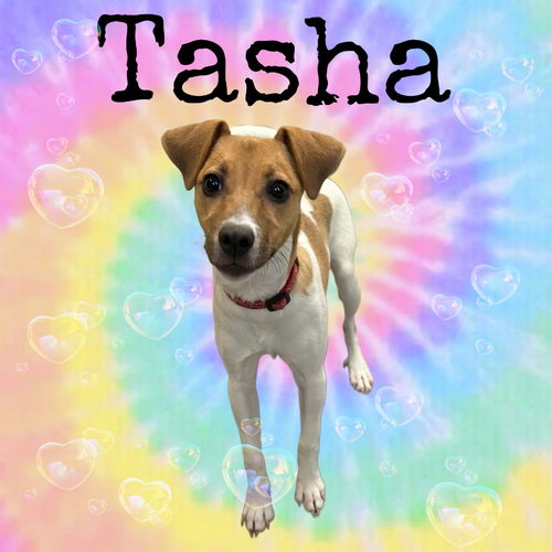 Tasha