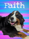 Faith
