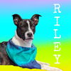 Riley