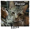 Fozzie