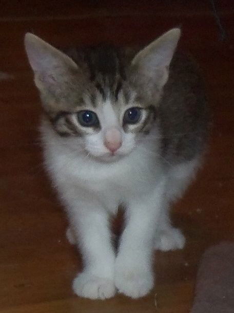 Miney