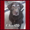 Charlie