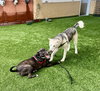Lucky - Photo 3