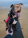 Octavia - Photo 4