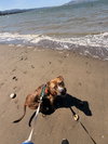 Junior - Photo 4