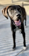 Ted - Photo 3