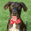 Ted - Photo 1