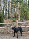 Jan - Photo 4