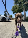 Rudy - Photo 3