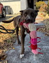 Rudy - Photo 2