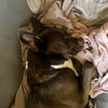 Rudy - Photo 4
