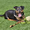 Juni - Photo 4
