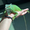 Creature - Photo 3