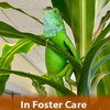 Creature - Photo 1
