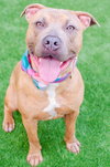 Skeeter - Photo 3