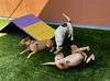 Skeeter - Photo 3