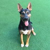 Bodie - Photo 3