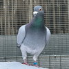 Jeffrey - Photo 4