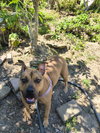 Tammy - Photo 4