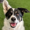 Zada - Photo 2