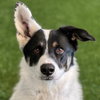 Zada - Photo 3