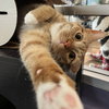 Tarot & Moxie - Photo 3