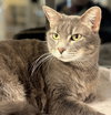 Lucy the Senior! - Photo 2