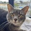 Lucy the Senior! - Photo 3