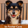 Chiquita the Senior! - Photo 1