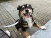 Chiquita the Senior! - Photo 3
