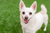 Estelle the Senior! - Photo 4