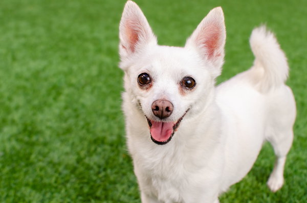 Estelle the Senior!