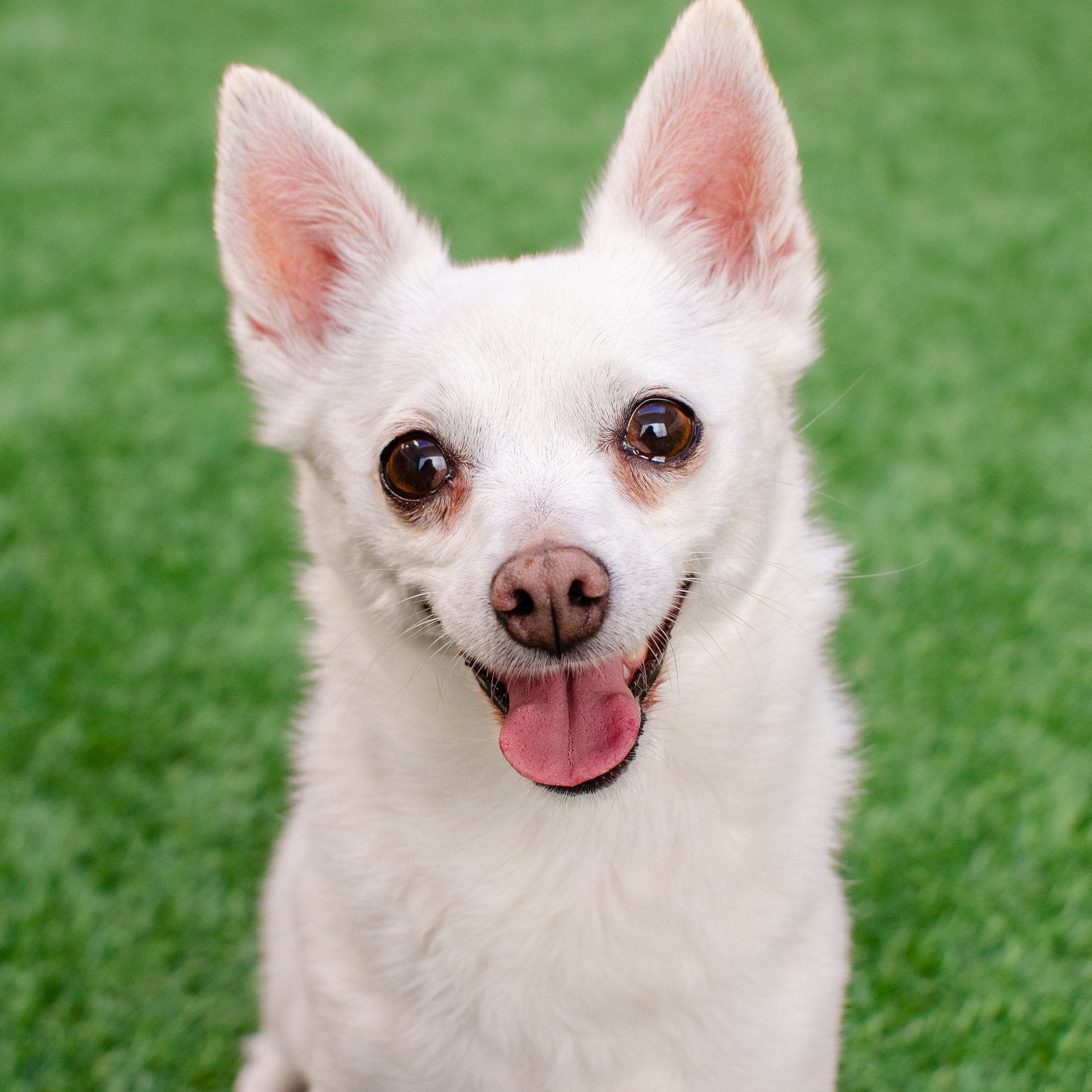 Estelle the Senior!