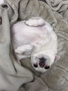 Estelle the Senior! - Photo 2