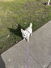 Estelle the Senior! - Photo 3