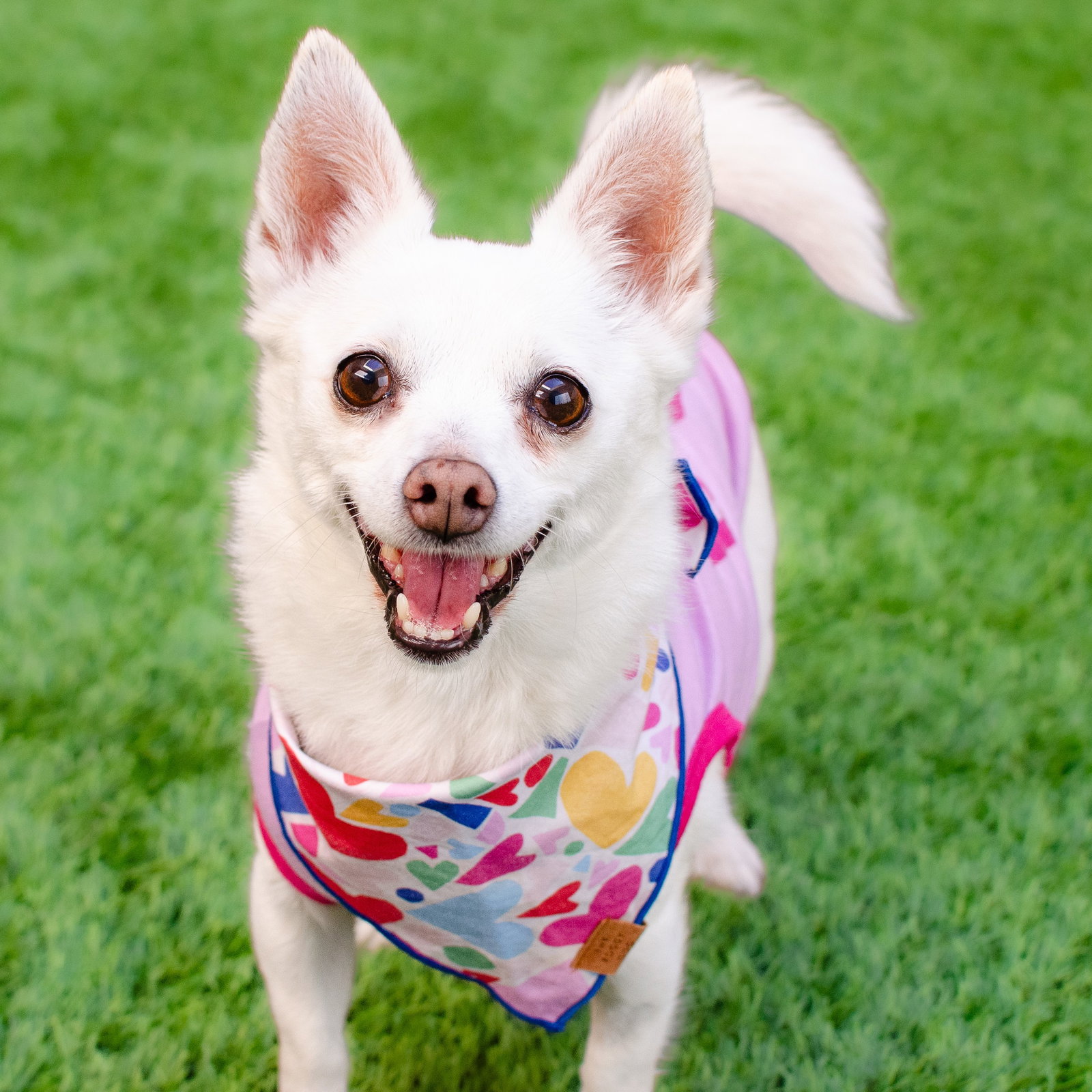 Estelle the Senior! Image