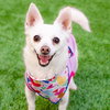 Estelle the Senior! - Photo 1