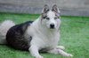 Max - Photo 1