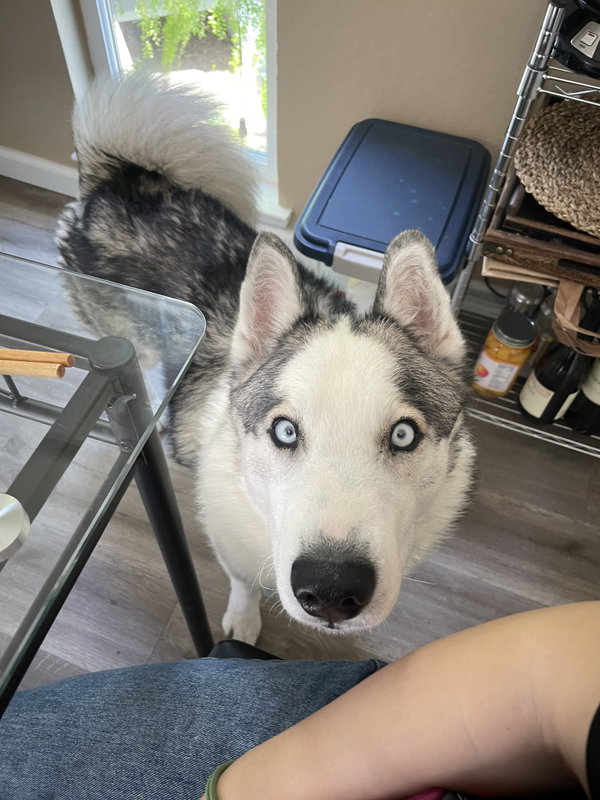 Max