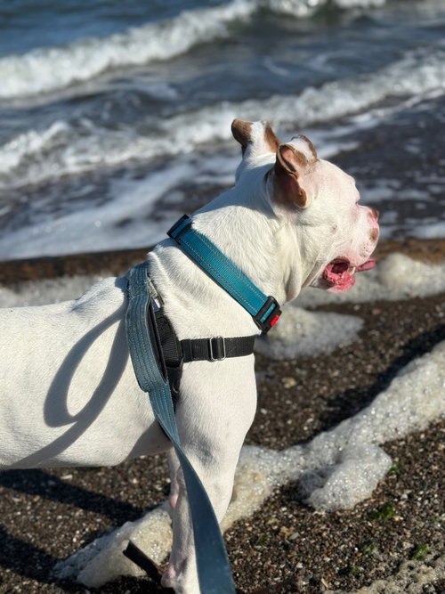 Miklo photo 2