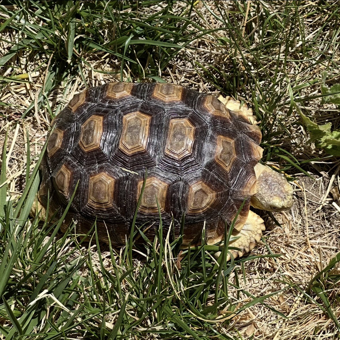 Spring, photo 3
