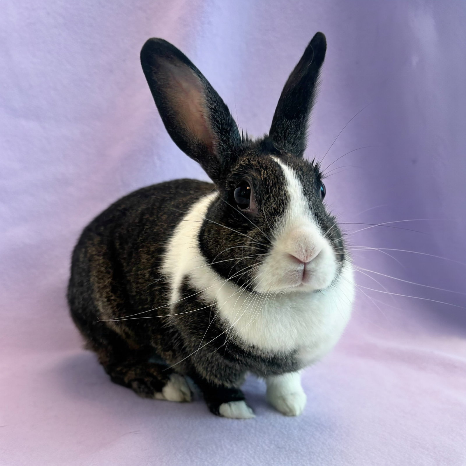 Lupita